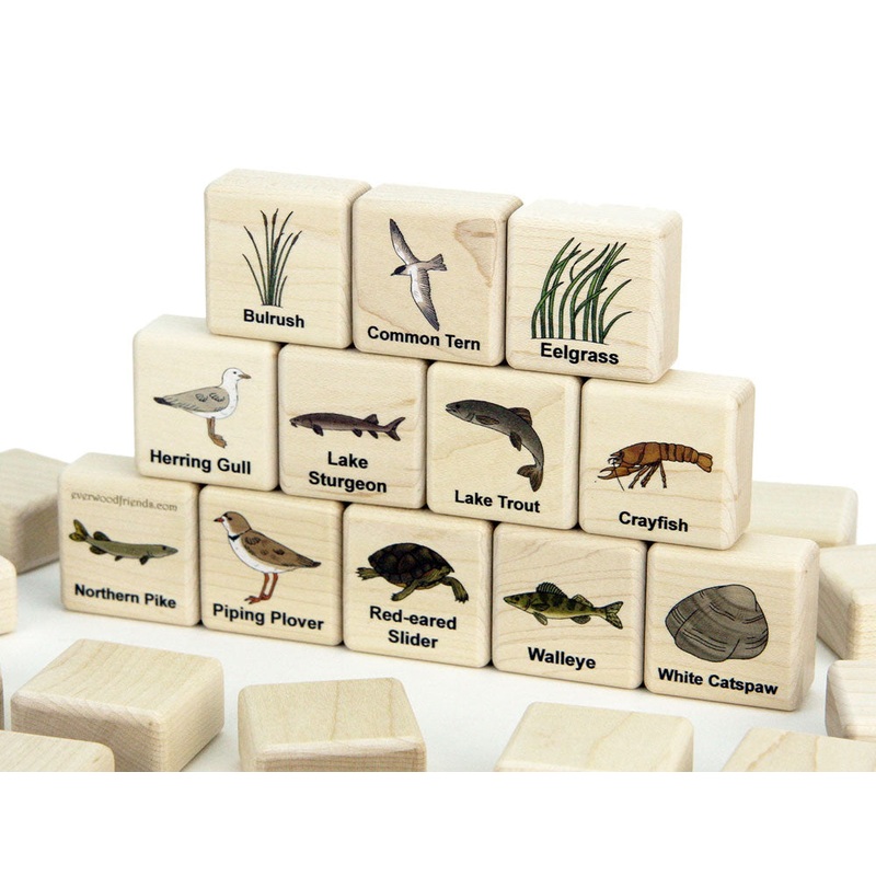 Great Lakes Marine Life Wooden Matching Game – 24 pc Set