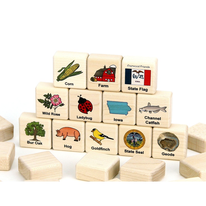 Iowa Wooden Matching Game – 24 pc Set