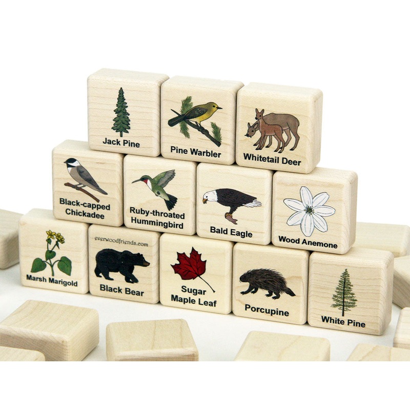 Pine Forest Plants & Animals Wooden Matching Game – 24 pc Set