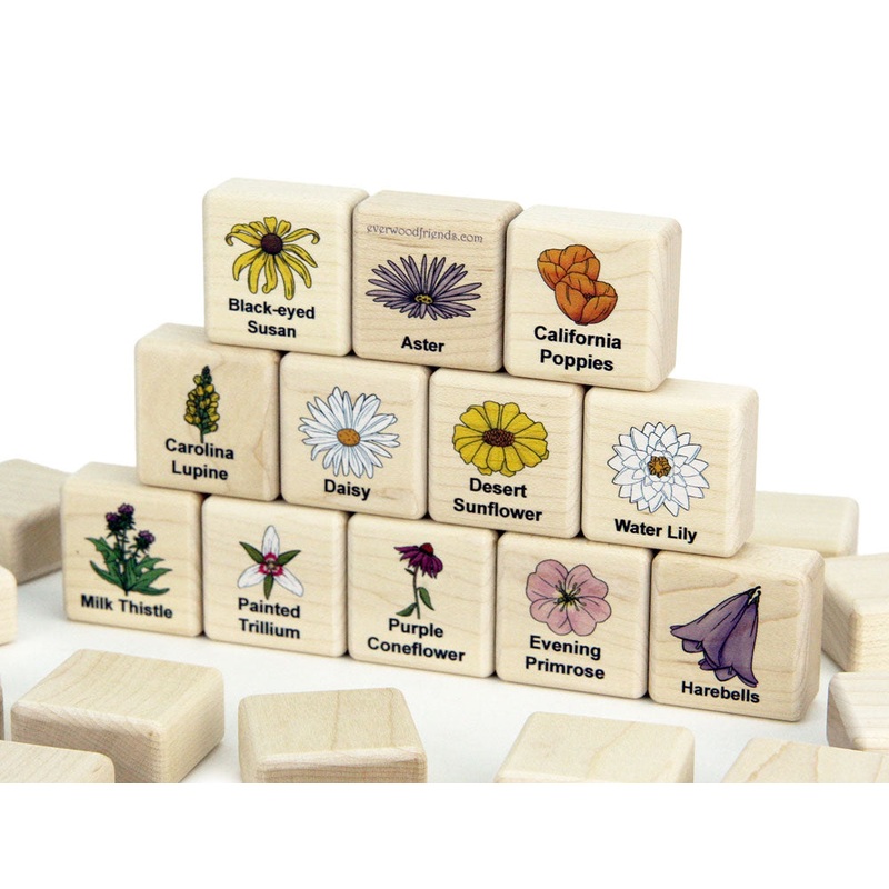 Wildflowers of North America Wooden Matching Game – 24 pc Set