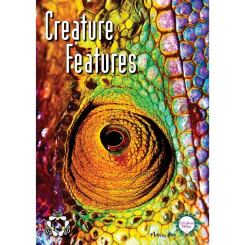 Creature Features Big Book