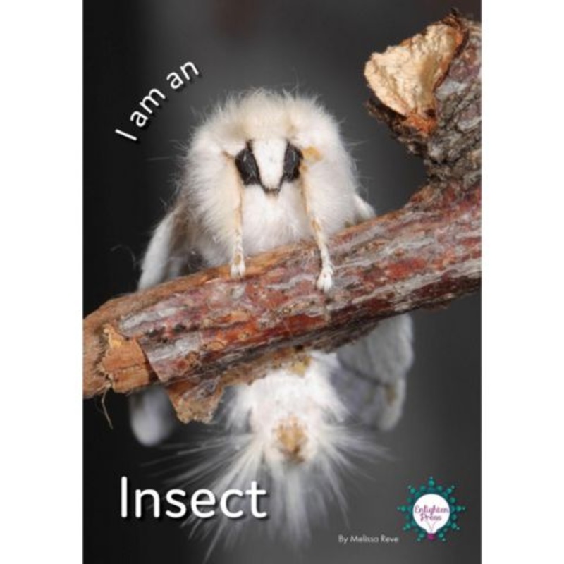 I am an Insect Big Book